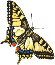 02001z3h-ff6e-177x210.png