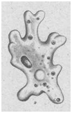 02001zix-9d52-153x238.png
