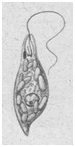 02001zj3-7963-95x186.png