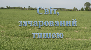 Презентація " Світ, зачарований тишею".