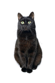 0200249d-6109-178x268.png
