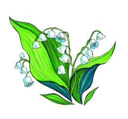 020025sm-5bcd-259x240.png