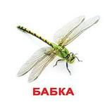020027w0-f57d-152x152.jpg