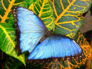020027yo-e6d4-281x210.jpg