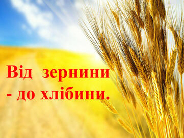 020028n5-0b93-361x271.jpg