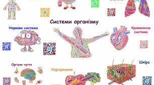 Хмари слів на тему: "Організм людини"