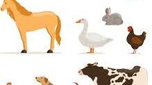 Конспект опрацювання автентичного матеріалу "Domestic animals"
