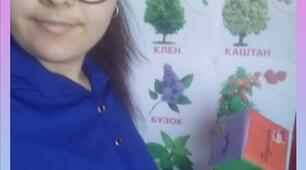 Урок Я досліджую світ у 2 класі з теми: "Дерева, кущі, трав'янисті рослини"