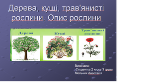 Презентація уроку Я досліджую світ у 2 класі з теми: "Дерева, кущі, трав'янисті рослини"