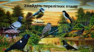 «Знайдіть перелітних птахів» Гра створена в програмі PowerPoint