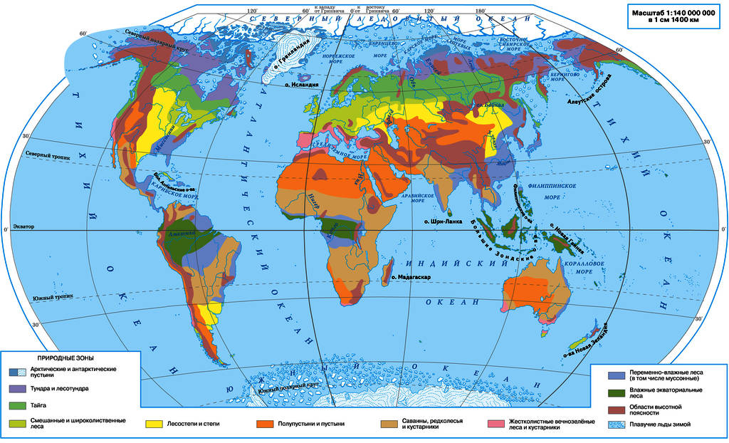 Материки и природные зоны на карте