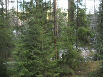 02002cuz-4202-207x155.jpg