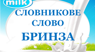 Словник "Молочні вироби. Бринза"