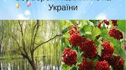 Конспект заняття на тему: "Без верби і калини нема України"