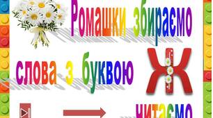 Ромашки  збираємо,   слова  з  буквою  Ж  читаємо"