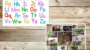 Animals and ABC Revision