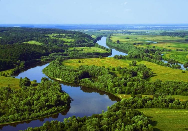 Река дунай фото