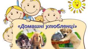 Додатковий матеріал до дослідницько – інформаційного проекту «Незвичайні цілителі поруч з нами» «Переваги від спілкування з тваринами»