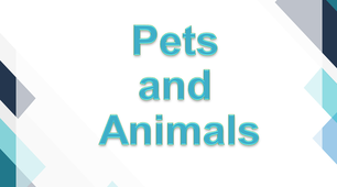 Лексичний матеріал з теми "Pets and Animals"