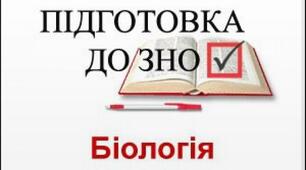 ЗНО-4