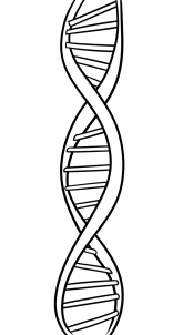 02002kp7-4990-213x370.png