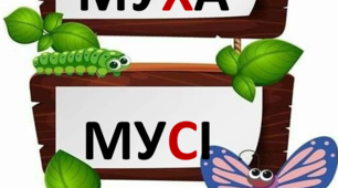 Практичні завдання з теми "Чергування голосних і приголосних звуків"