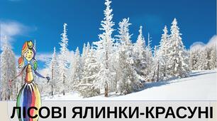 Презентація на тему "Розмаїття форм. Лісові ялинки-красуні". Образотворче мистецтво. 1клас