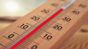 Прибрати шкільну територію у +40°C: терміновий наказ від управління освіти 