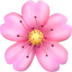 02002pdy-b584-72x72.png