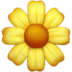 02002pdz-f059.png