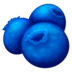 02002pe6-3c0f-72x72.png