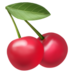02002pec-d565-72x72.png