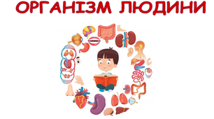 Онлайн-ігри  створені у сервісі "Wordwall" на тему: "Організм людини"