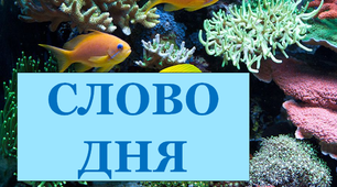 Дидактична розробка "Слово дня 6"