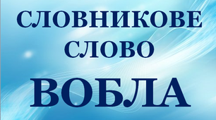 Дидактична розробка "Словник "Риба. Вобла""