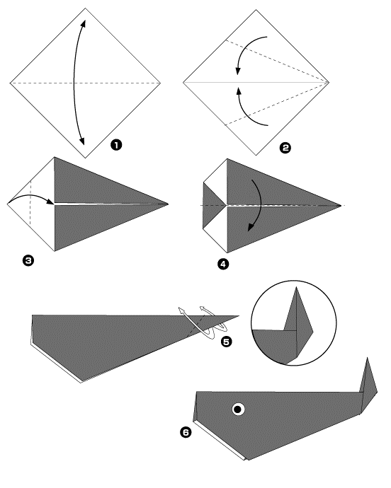 02002rra-6794.png