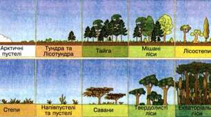 Презентація "Природні зони Землі"