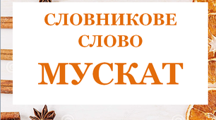 Дидактична розробка  "Словник "Прянощі. Мускат"