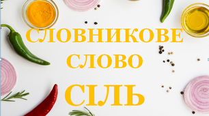 Дидактична розробка "Словник "Приправи. Сіль"