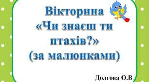 Вчителю НУШ. Дидактичний наочний матеріал. Вікторина  «Чи знаєш ти птахів?» (за малюнками)