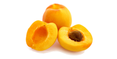 02002t1m-0478-229x117.png