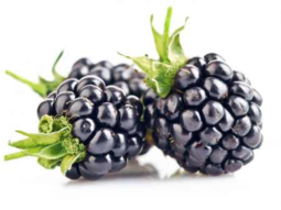 02002t2i-d604-260x195.png