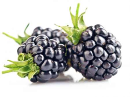 02002t2i-d604-260x195.png