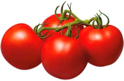 02002t2r-9b3d-255x166.png