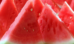02002t2s-981f-259x155.png