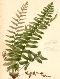 02002t5o-2e72-197x260.png