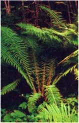 02002t63-20b5-158x246.png