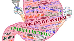 Хмара слів "Травна система"