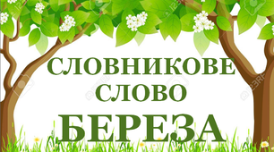 Дидактичний матеріал "Словник "Дерева. Береза"