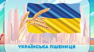 Презентація на утворення відносних прикметників "Звідки - який?"